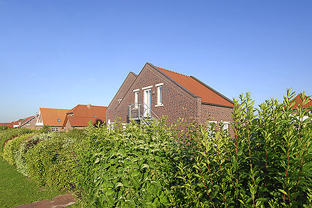 Foto aus der Fotogruppe 